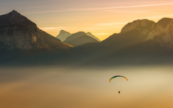 Gliding Above The Gold